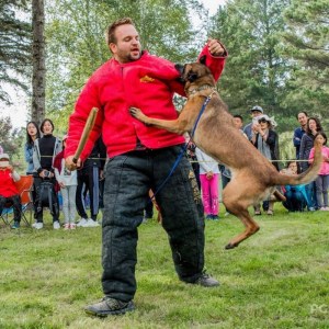 Ринговый костюм облегченной защиты «Ring Sport dog» для дрессировки малинуа
